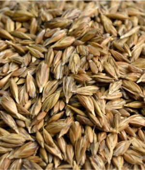 A Bowl of Healthy Grains a day…
