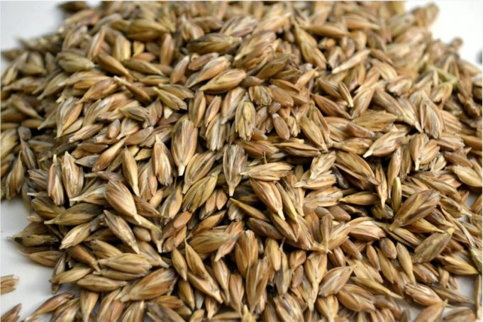 A Bowl of Healthy Grains a day…