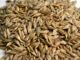 A Bowl of Healthy Grains a day…