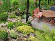 Garden in Your Own Terrace